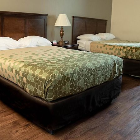Econo Lodge Near Fort Gregg-Adams I-295 Hopewell Bagian luar foto